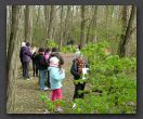 19-Découvrir les arbres    Montigny-avril-2012
