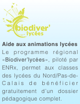 ￼





Aide aux animations lycées
Le programme régional «Biodiver’lycées», piloté par ENRx, permet aux classes des lycées du Nord/Pas-de-Calais de bénéficier gratuitement d’un dossier pédagogique complet.